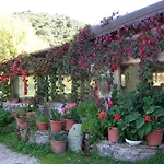 Sas Abbilas Bonorva