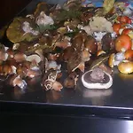 Sas Abbilas Alloggio per agriturismo Bonorva