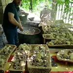 Alloggio per agriturismo Sas Abbilas