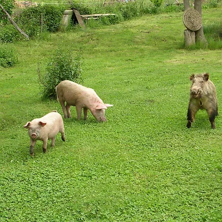 Sas Abbilas Vakantieboerderij Bonorva