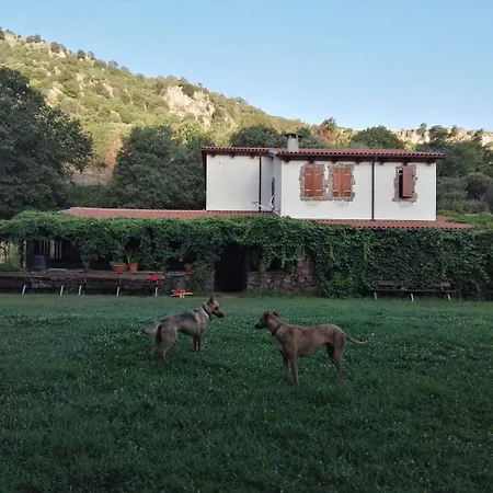 בית חווה Sas Abbilas *