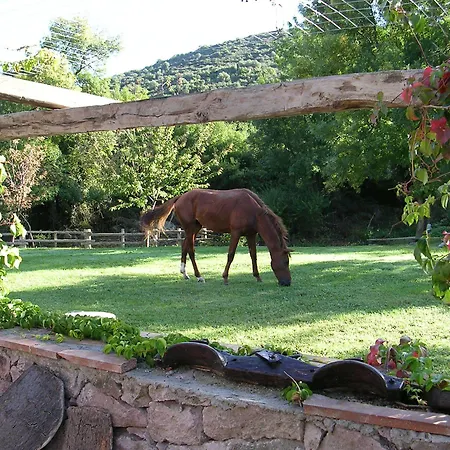 Vakantieboerderij Sas Abbilas Bonorva