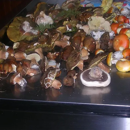 Sas Abbilas בית חווה Bonorva