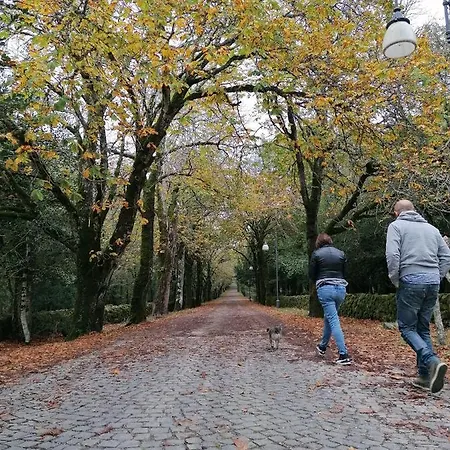 Sas Abbilas Vakantieboerderij Bonorva