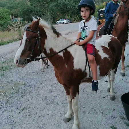 Vakantieboerderij Sas Abbilas